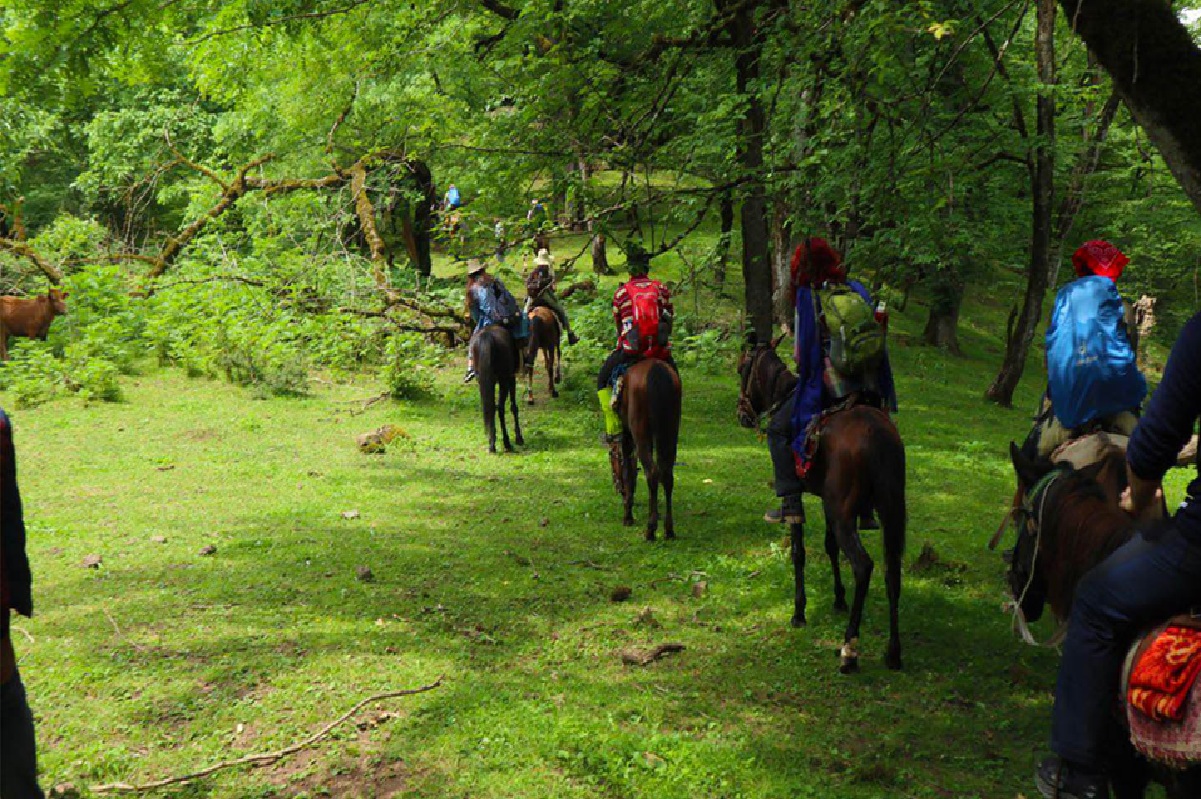 Horseback riding