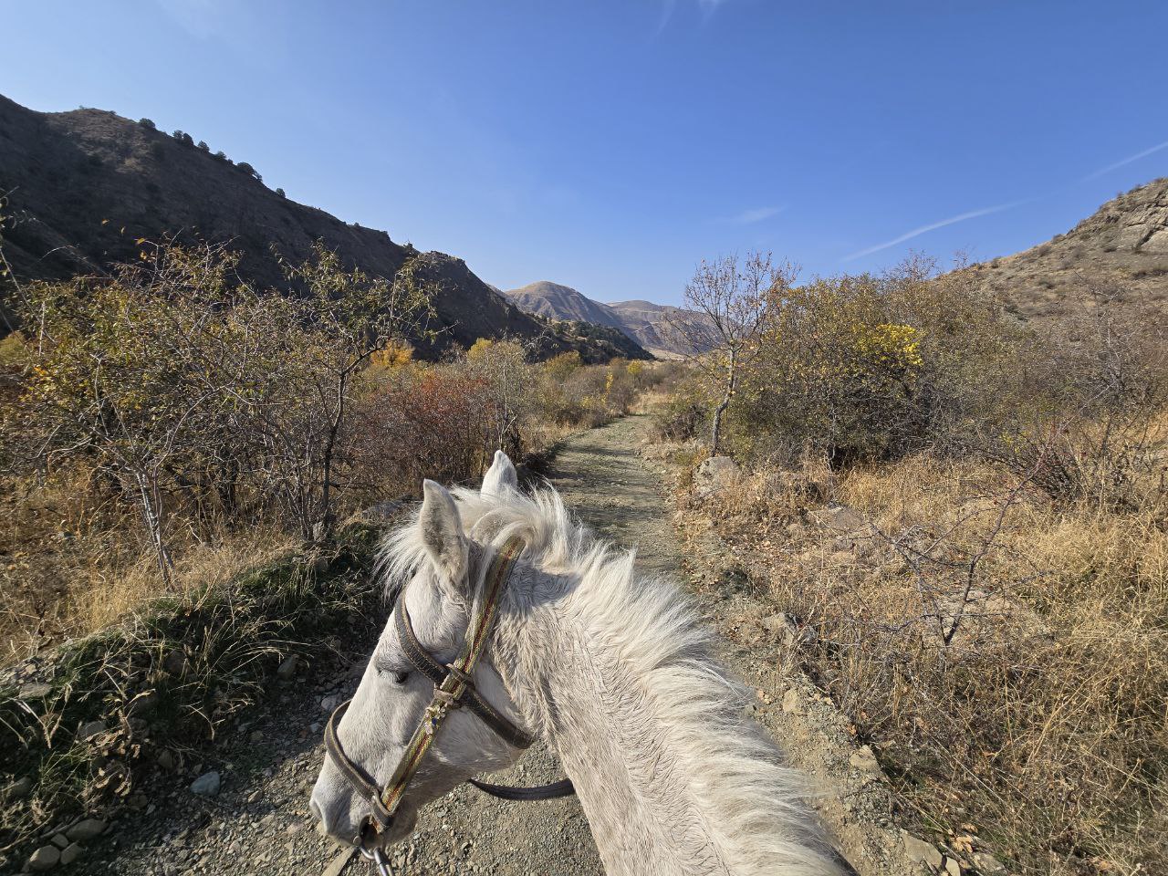 Horseback riding-hiking: Khosrov Forest, Astghik and Vahagni Waterfalls