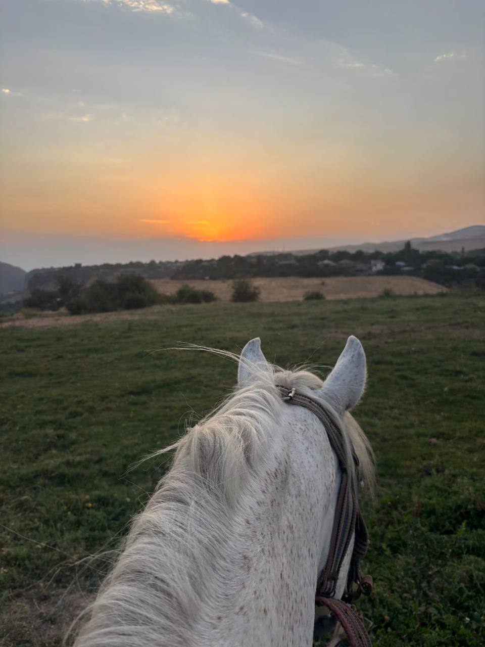Horseback Riding: Garni-Havuts Tar